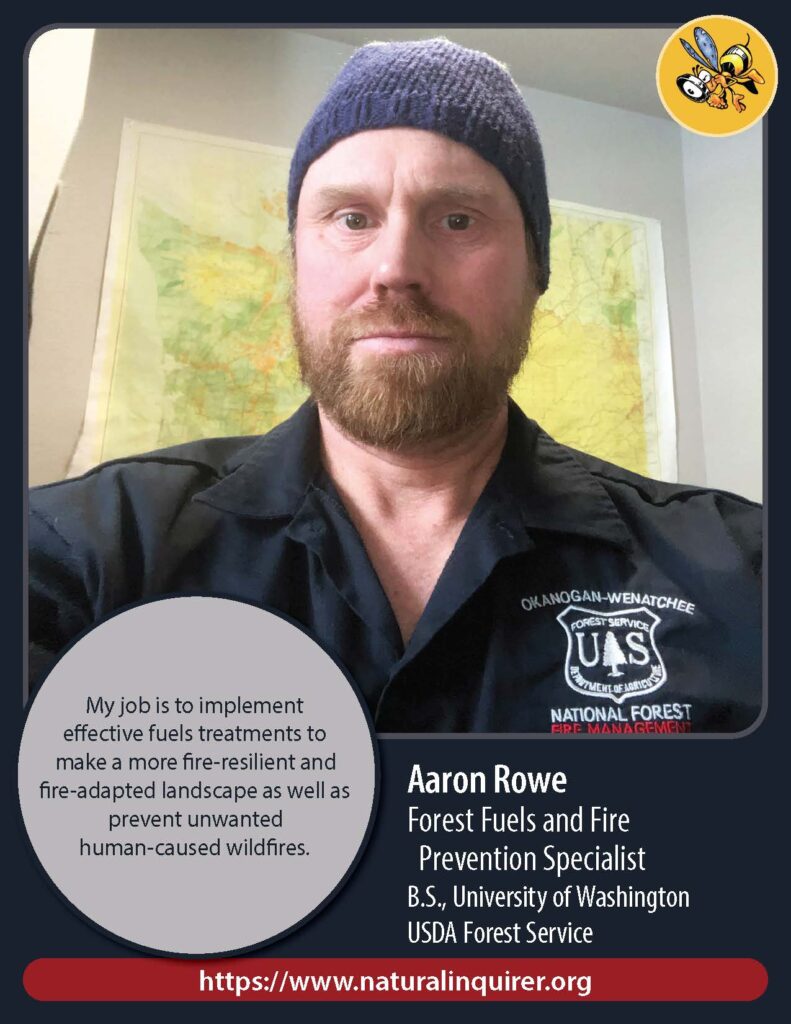 Front cover of Aaron Rowe Collector Card