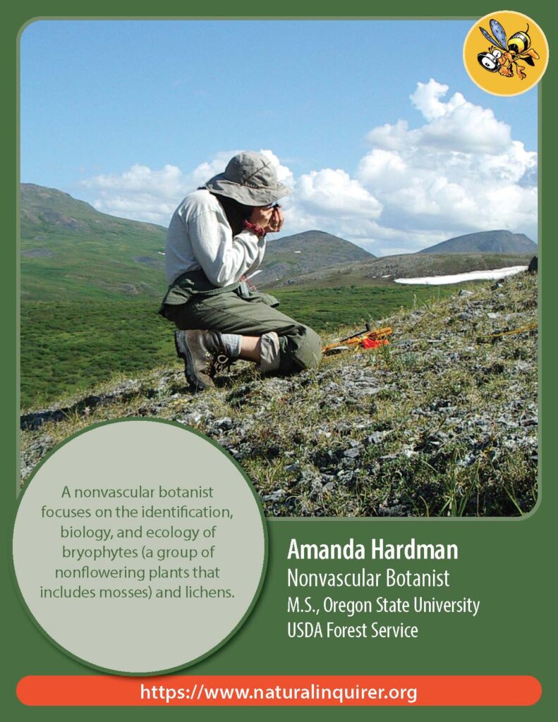 Front cover of Amanda Hardman Collector Card