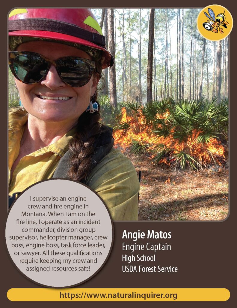 Front cover of Angie Matos Collector Card