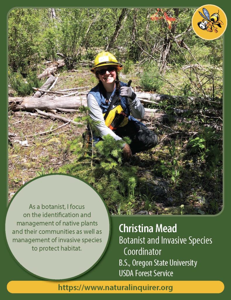 Front cover of Christina Mead Collector Caard