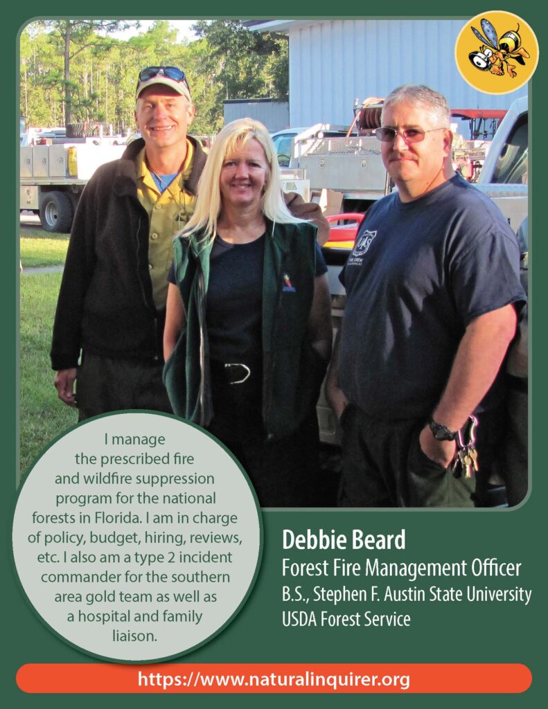 Front cover of Debbie Beard Collector Card