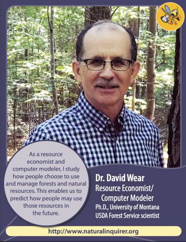 David Wear, Resource Economist & Computer Modeler - Natural Inquirer