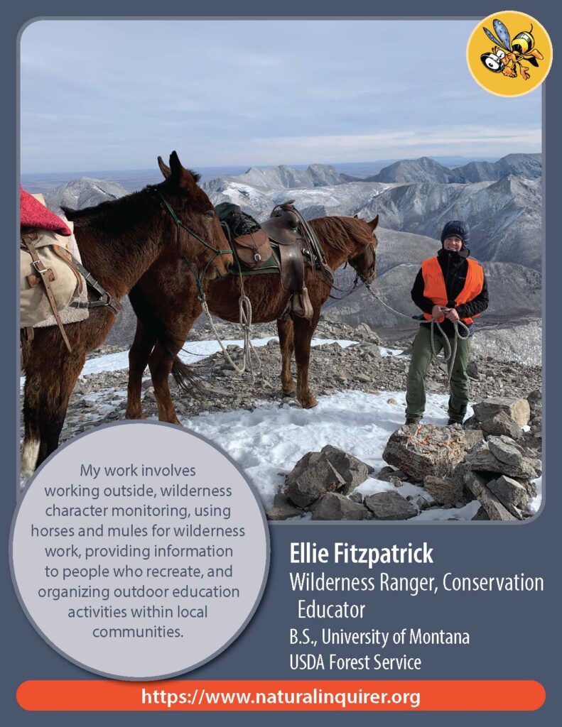 Front cover of Ellie Fitzpatrick Collector Card