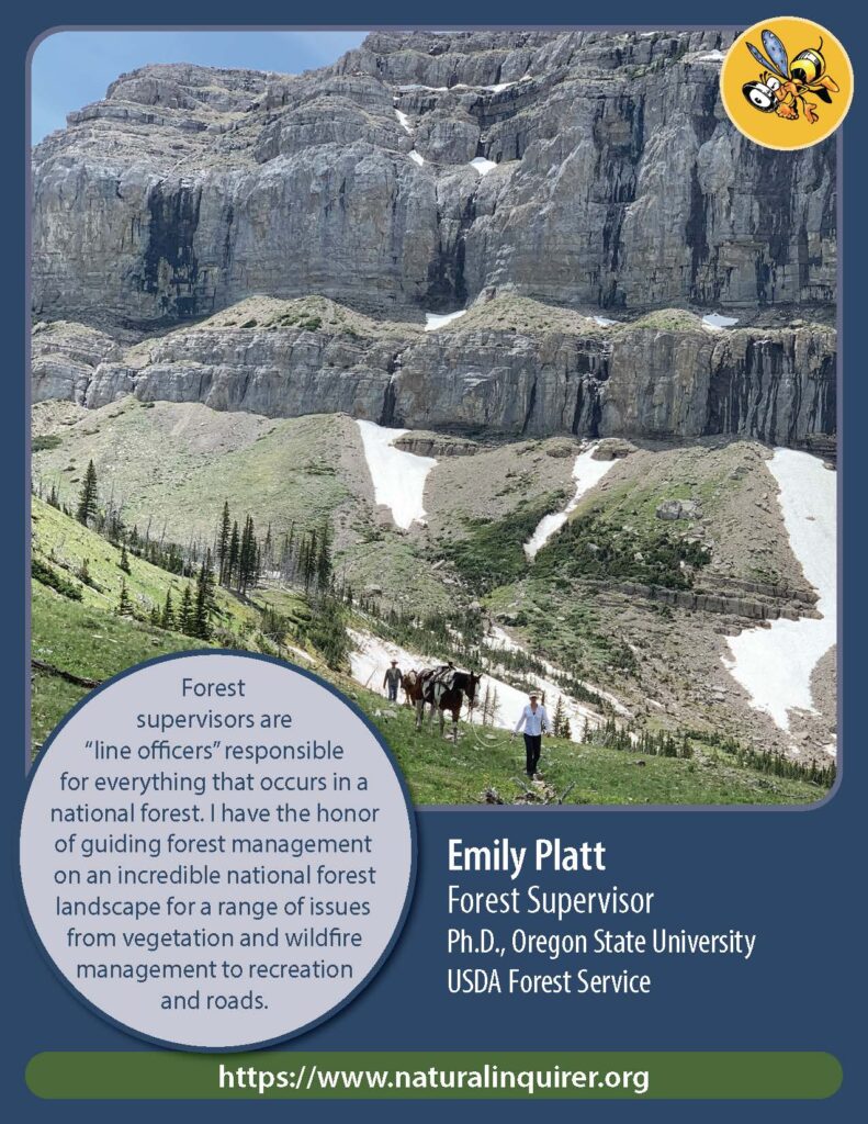 Front cover of Emily Platt Collector Card