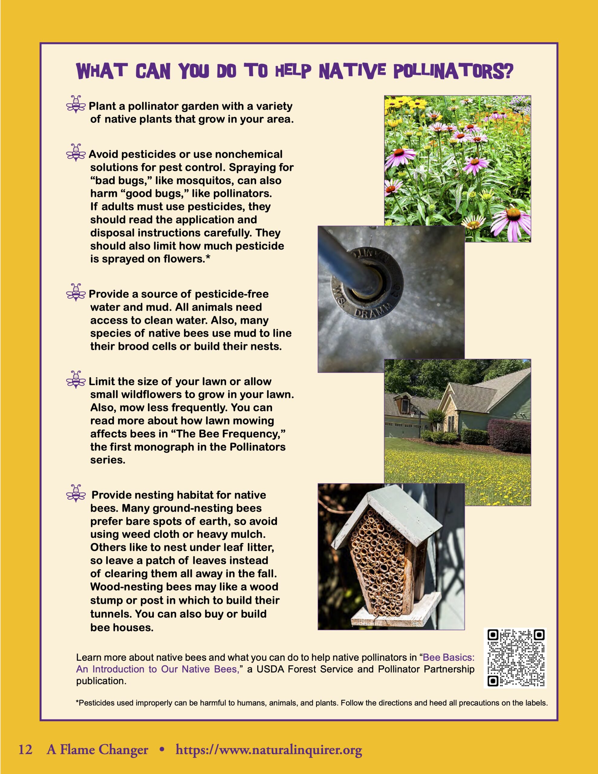 Spotlight - What Can You Do To Help Native Pollinators? - Natural Inquirer
