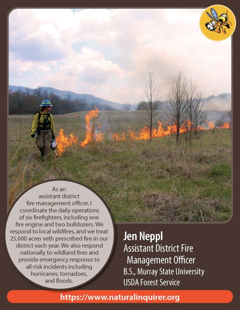 Front cover of Jen Neppl Collector Card