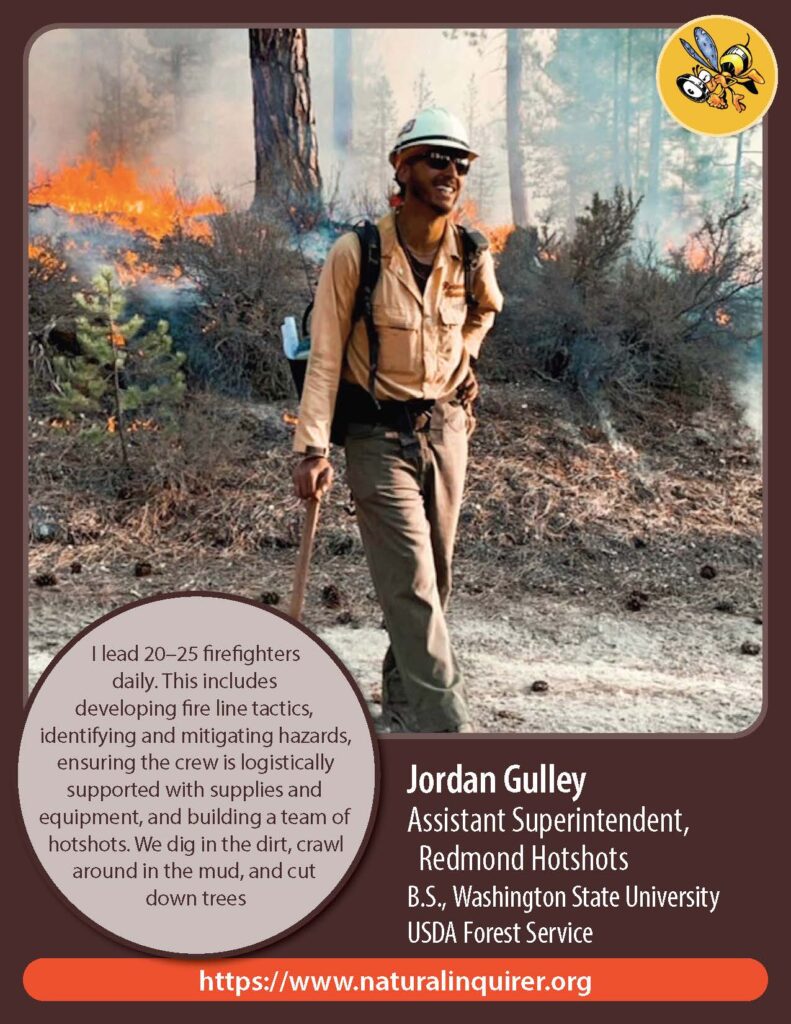 Front cover of Jordan Gulley Collector Card