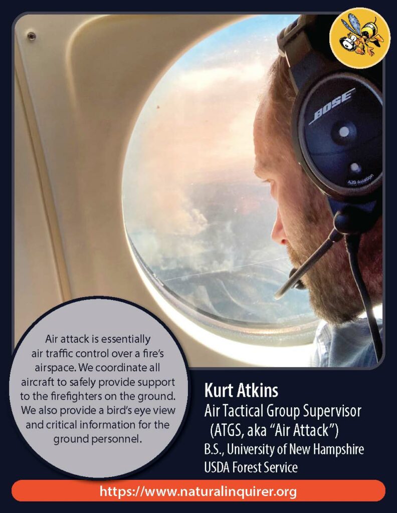 Front cover of Kurt Atkins Collector Card