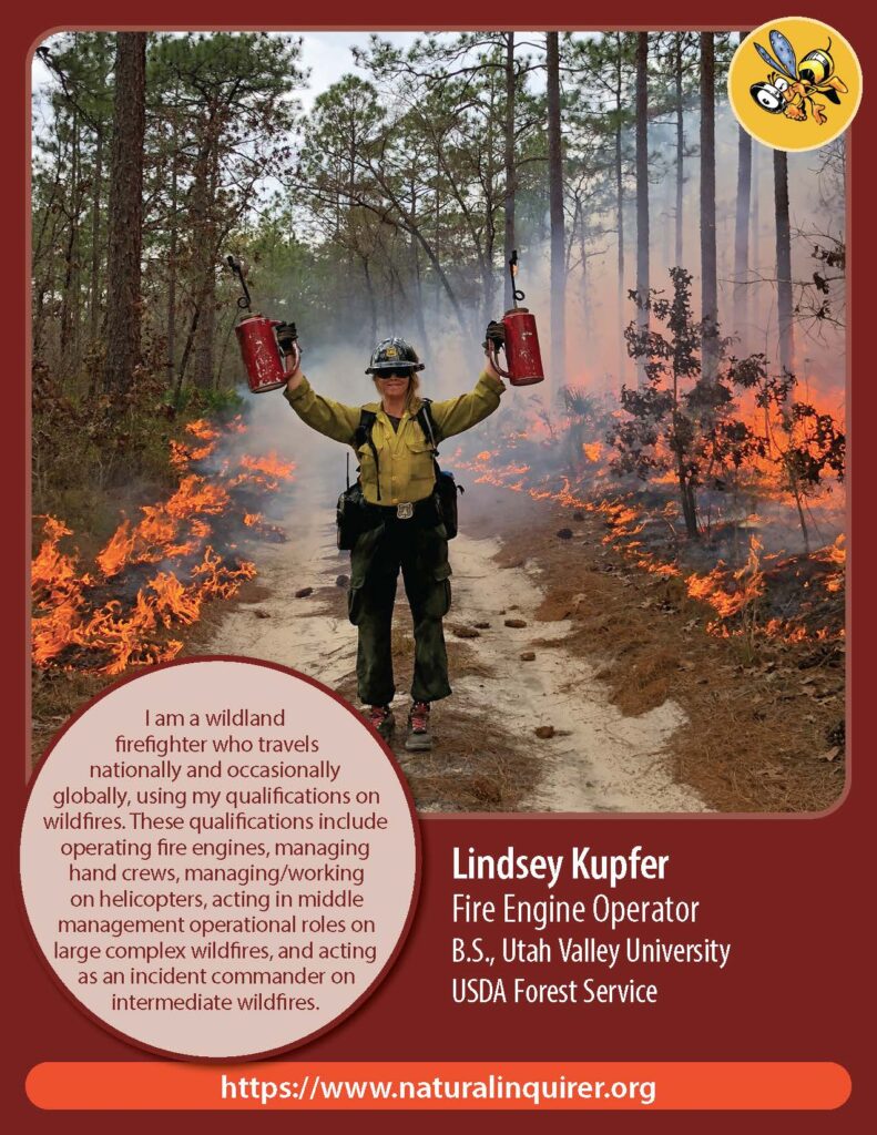 Front cover of Lindsey Kupfer Collector Card
