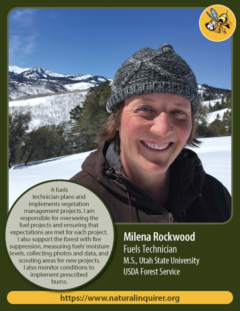 Front cover of Milena Rockwood Collector Card