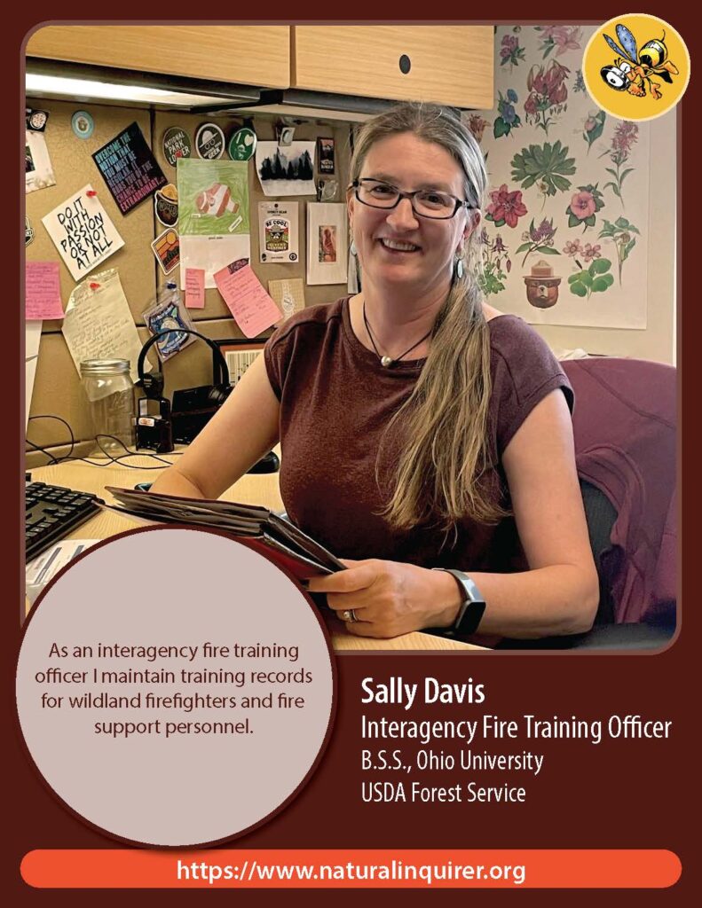 Front cover of Sally Davis Collector Card