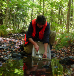 Sue Eggert kneels by a small stream and takes a sample.