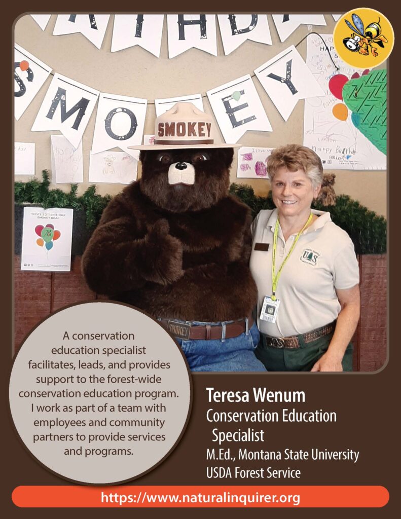 Front cover of Teresa Wenum Collector Card