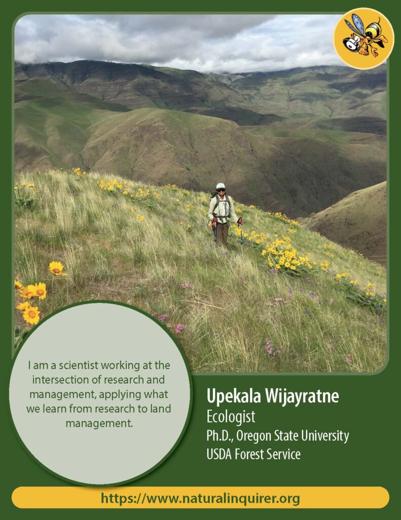 Front cover of Upekala Wijayratne Collector Card