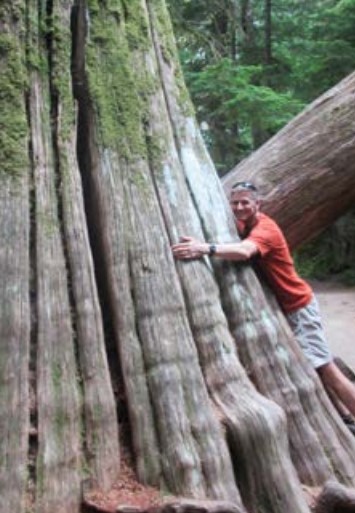 Jeff Prestemon hugging a very large tree