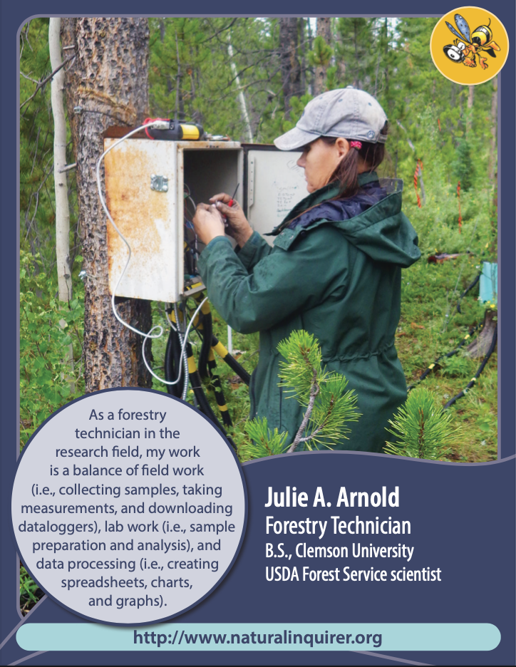 Julie A. Arnold, Forestry Technician front cover card