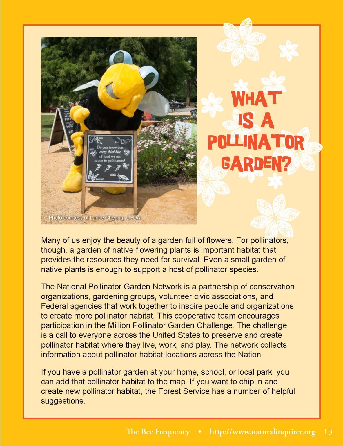 Spotlight - What Is a Pollinator Garden? - Natural Inquirer