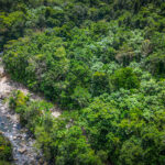 An aerial photo of the Rio Mameyes River running through the Luquillo Experimental Forest inside El Yunque National Forest in Puerto Rico.