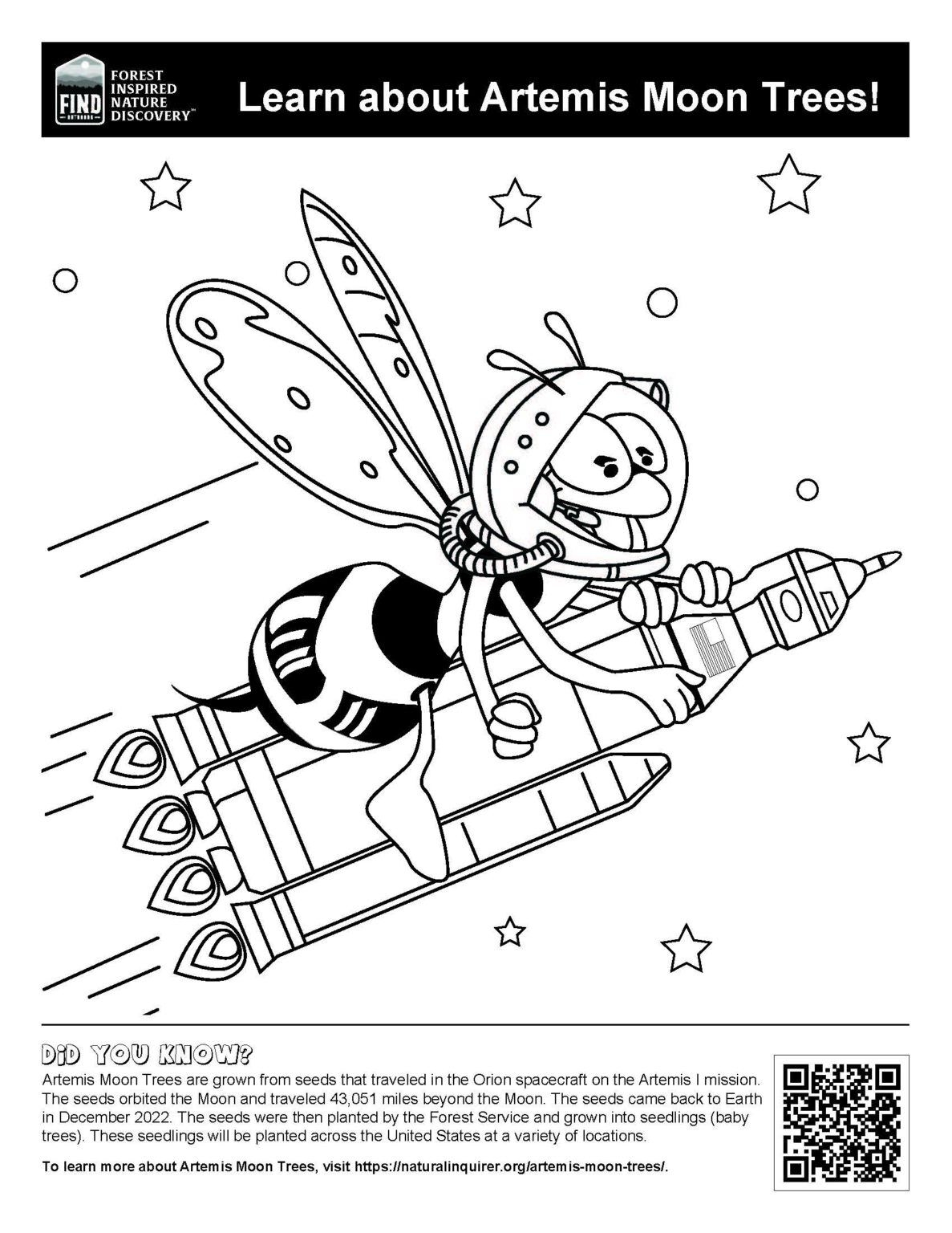 Artemis Moon Tree Coloring Book Natural Inquirer