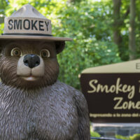 Smokey Bear - Natural Inquirer