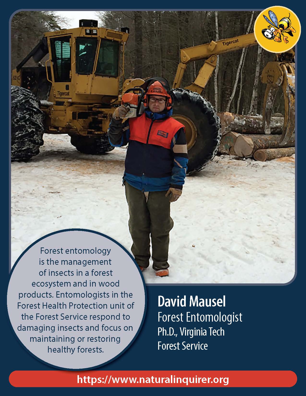 Front of David Mausel career card