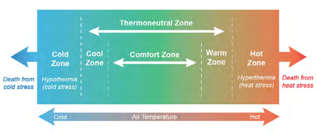 A rectangle illustrating the temperatures a body can be exposed to. The rectangle shades from blue on the left to orange on the right. On the left, at the coldest air temperatures, is death from cold stress, then the cold zone (hypothermia and cold stress), then the thermoneutral zone – ranging from cool zone to comfort zone to warm zone. Next is the hot zone (hyperthermia and heat stress) and finally death from heat stress.