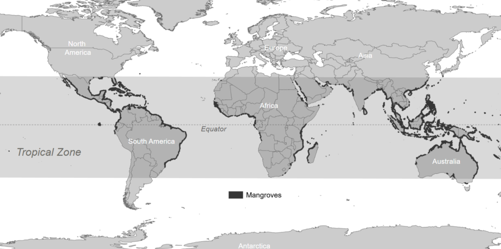 A map of the world, showing coastal areas populated by mangroves in black.