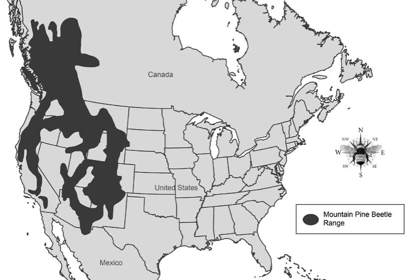 SPLAT! Protecting Pine Trees in the Western United States from Beetle ...
