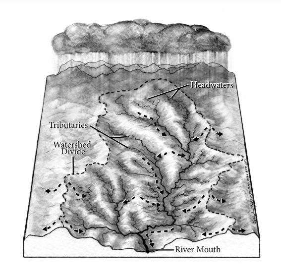 Illustration of a watershed. 
