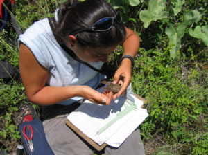 A scientist inspecting a bird
