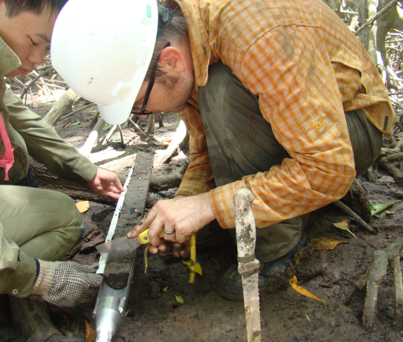 A person uses a palette knife to cut a core sample into sections.