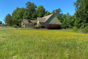 A house is behind a field full of weeds and flowers
