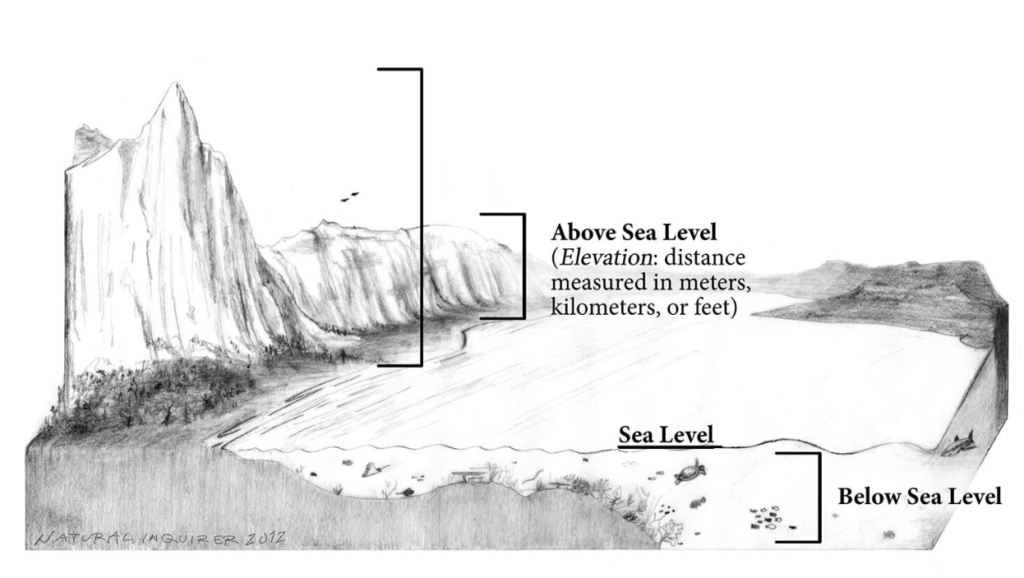 An illustration showing above sea level, sea level, and below sea level elevations.