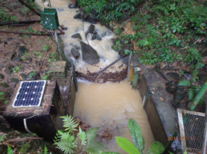 Mesh trap placed across a stream to collect CPOM