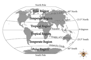 An illustration of the regions on a globe