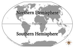 Am illustration of the globe labeling the northern and southern hemisphere