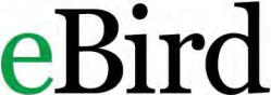 eBird logo