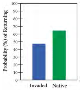 A bar graph showing invasive vs native birds