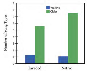 A bar graph showing the number of song types over time in invaded and native areas