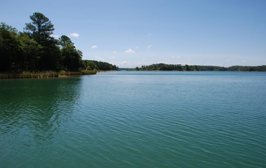 A reservoir of water with a small section of forest in the back.