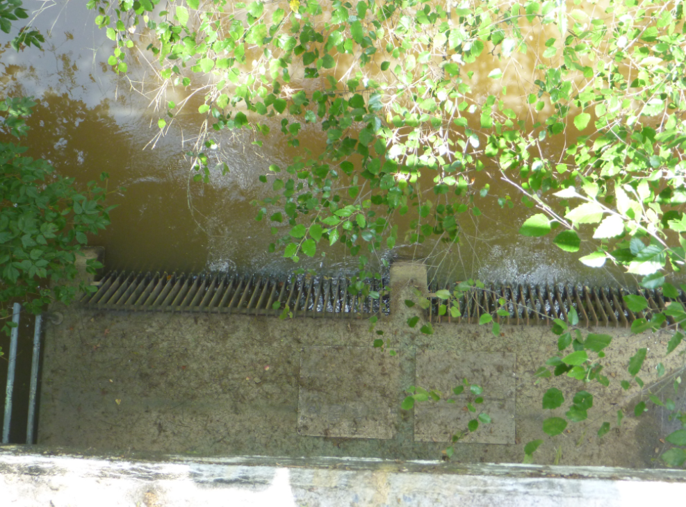 A drinking water intake grate on the river's edge