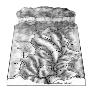 An illustration of a watershed