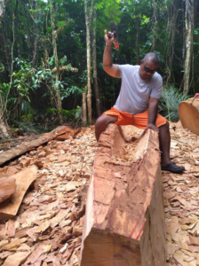 A man sits on a log that he is carving into a canoe.