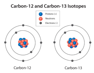 An illustration of a carbon-12 isotope (left) and a carbon-13 isotope (right). 