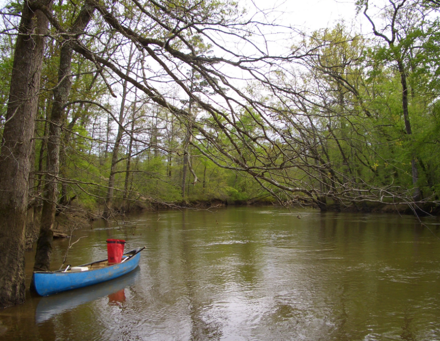 Sipsey river in Alabama with a canoe in it