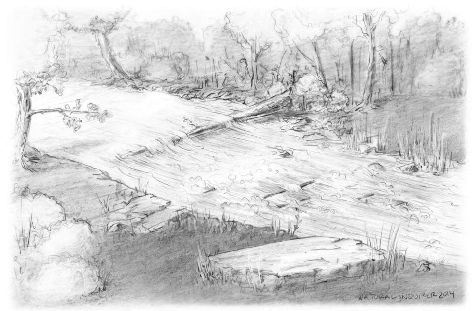 AN illustration of a river with no dam