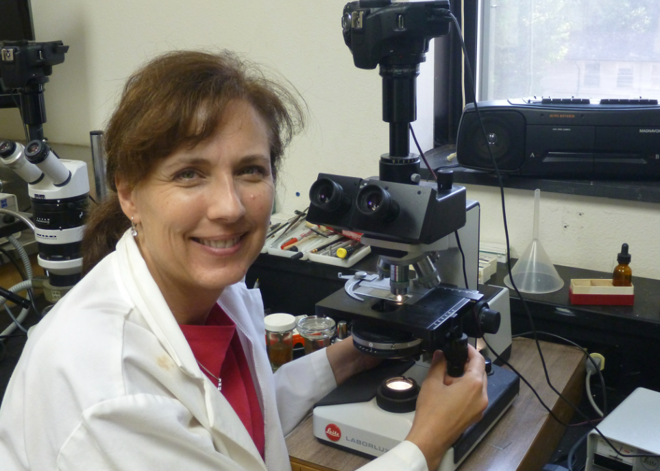 Ms. Cram working with a telescope