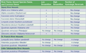 A table with different river mussels and their streams flows they are found in
