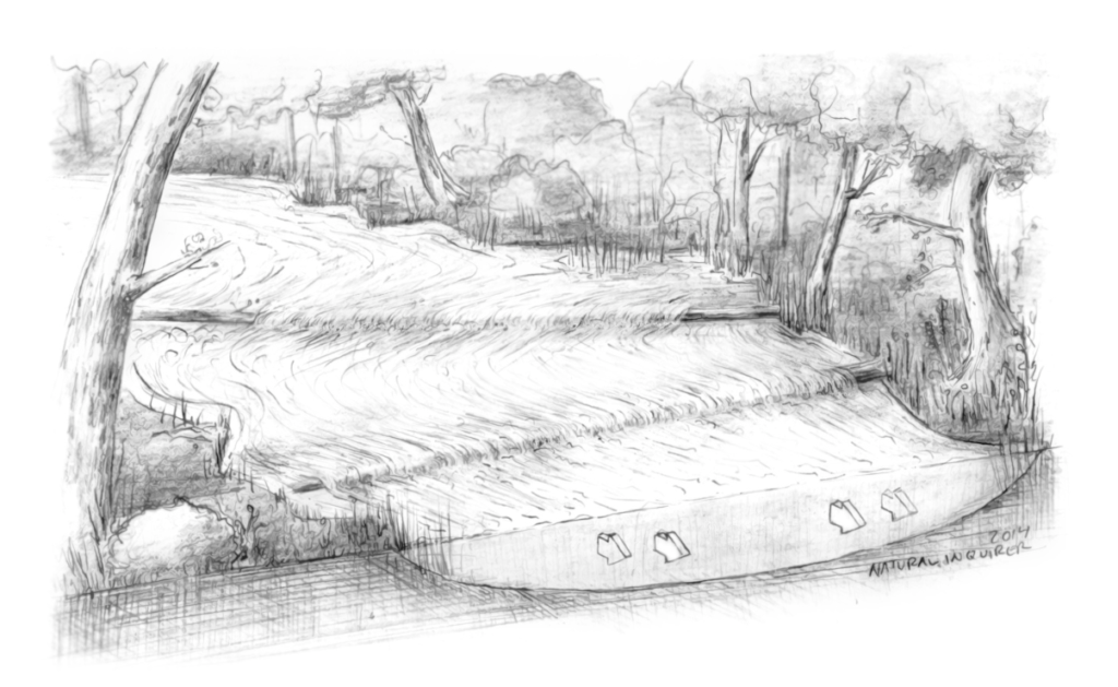 An illustration of a river with high stream flow