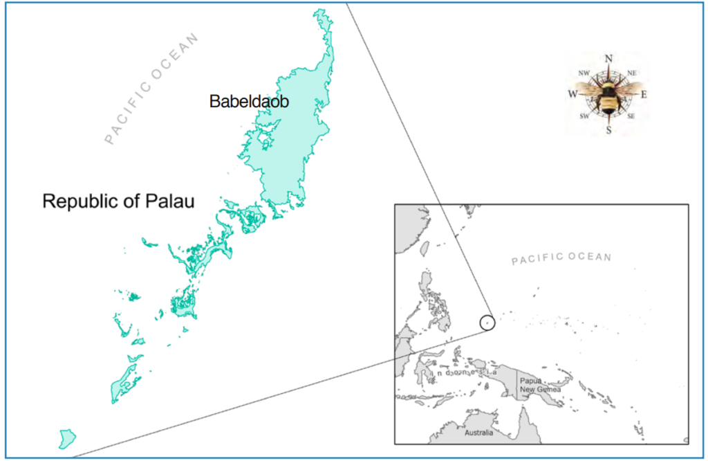A map showing the location of Babeldaub Island in the Republic of Palau.